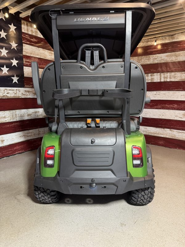 2025 Denago Rover XL (Lithium) Special Edition Java Green - Image 6