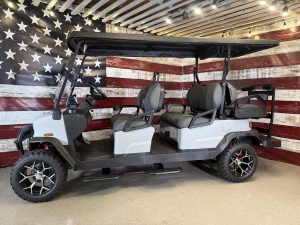 2025 Denago Rover XL6