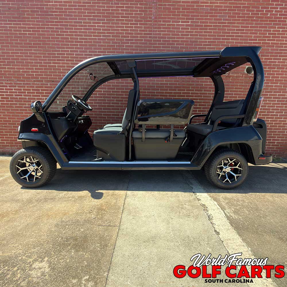 2026 Denago City Car Black - Image 3