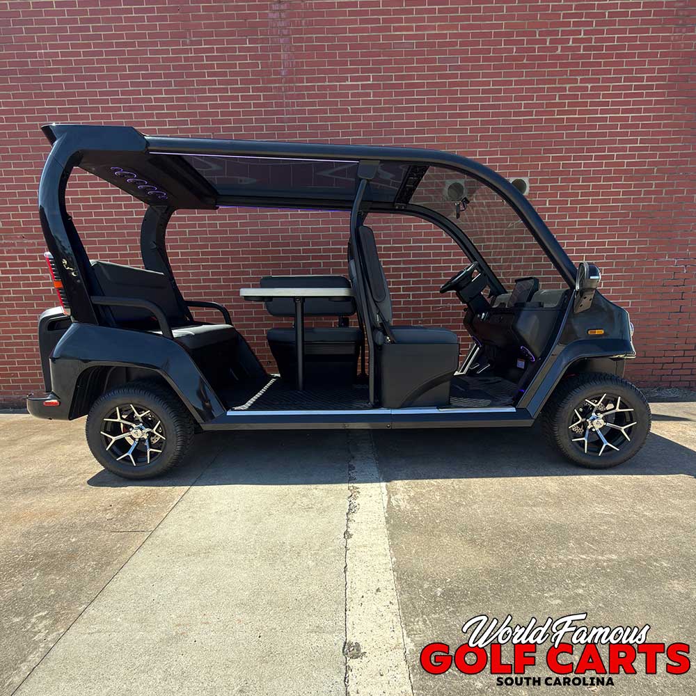 2026 Denago City Car Black - Image 4