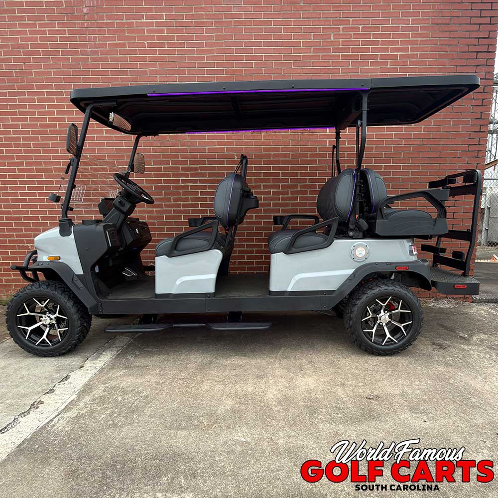 2026 Denago Rover XL6 Gray - Image 3