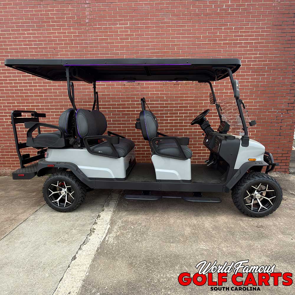 2026 Denago Rover XL6 Gray - Image 4