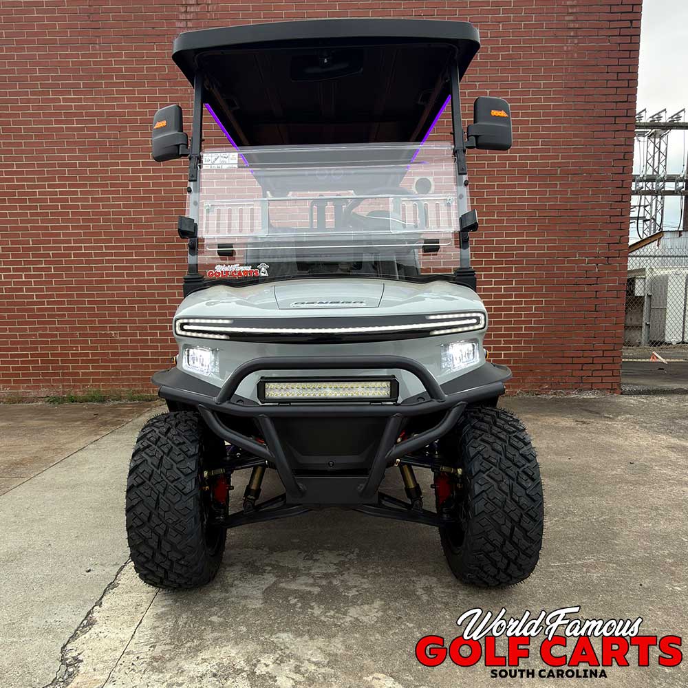 2026 Denago Rover XL6 Gray - Image 2