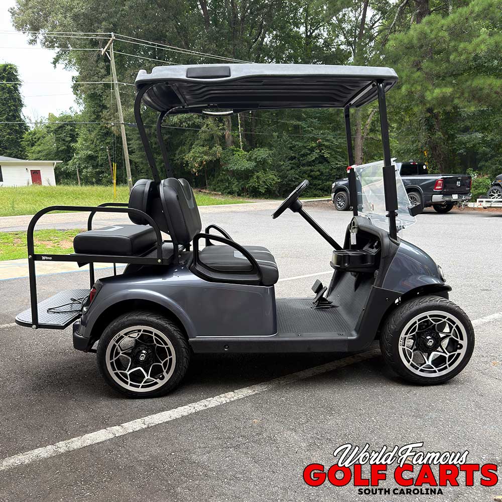 2018 EZGO RXV - Image 3