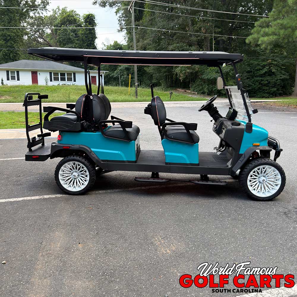 2026 Denago Rover XL6 Aqua - Image 5