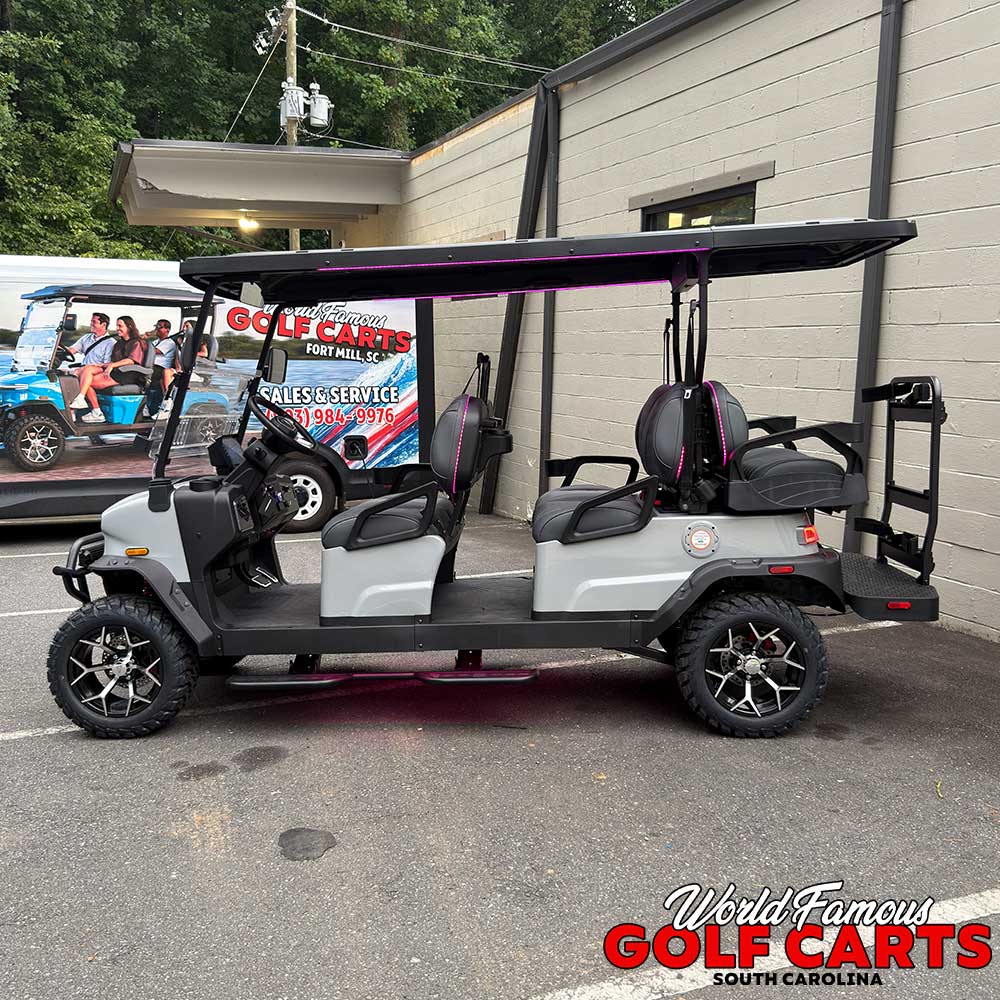 2026 Denago Rover XL6 Grey - Image 3