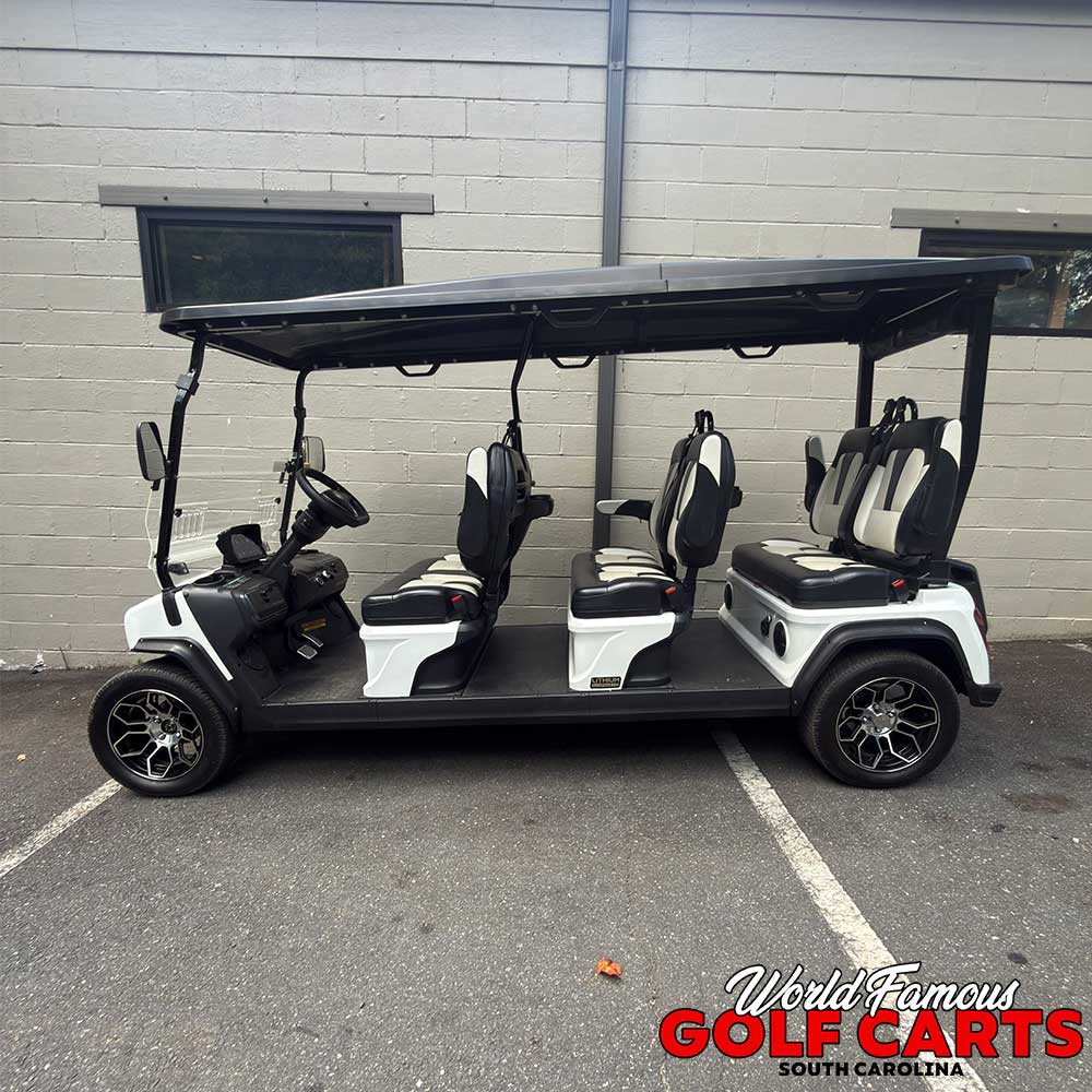 2023 Evolution D5 Ranger White - Image 3