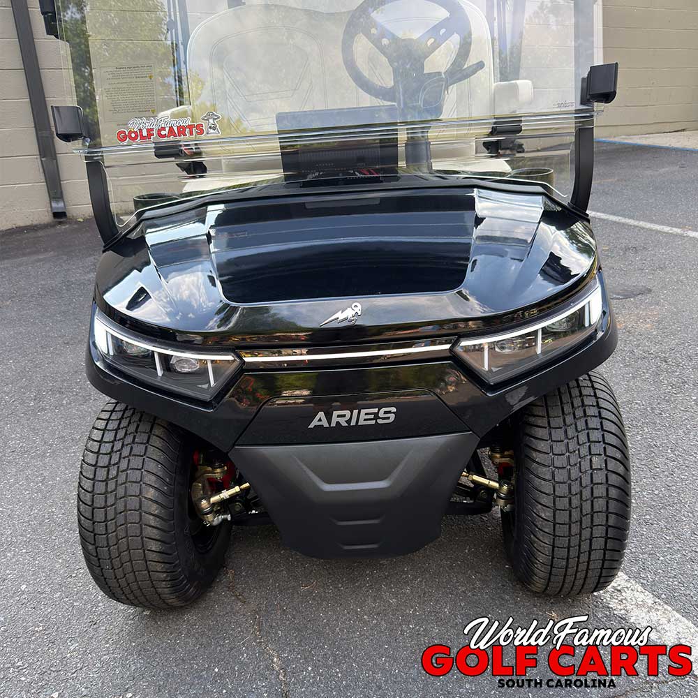 2026 Aries C6 Black - Image 2