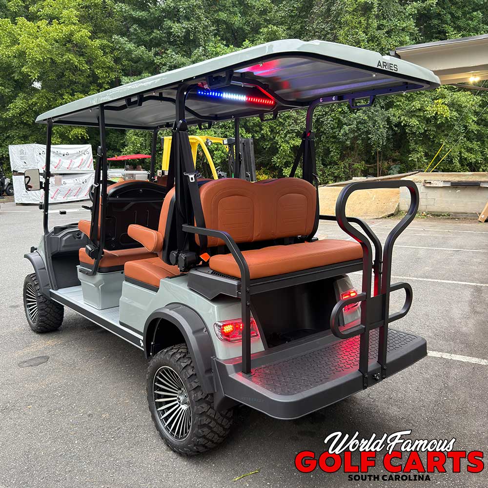 2026 Aries C6XL Grey - Image 6