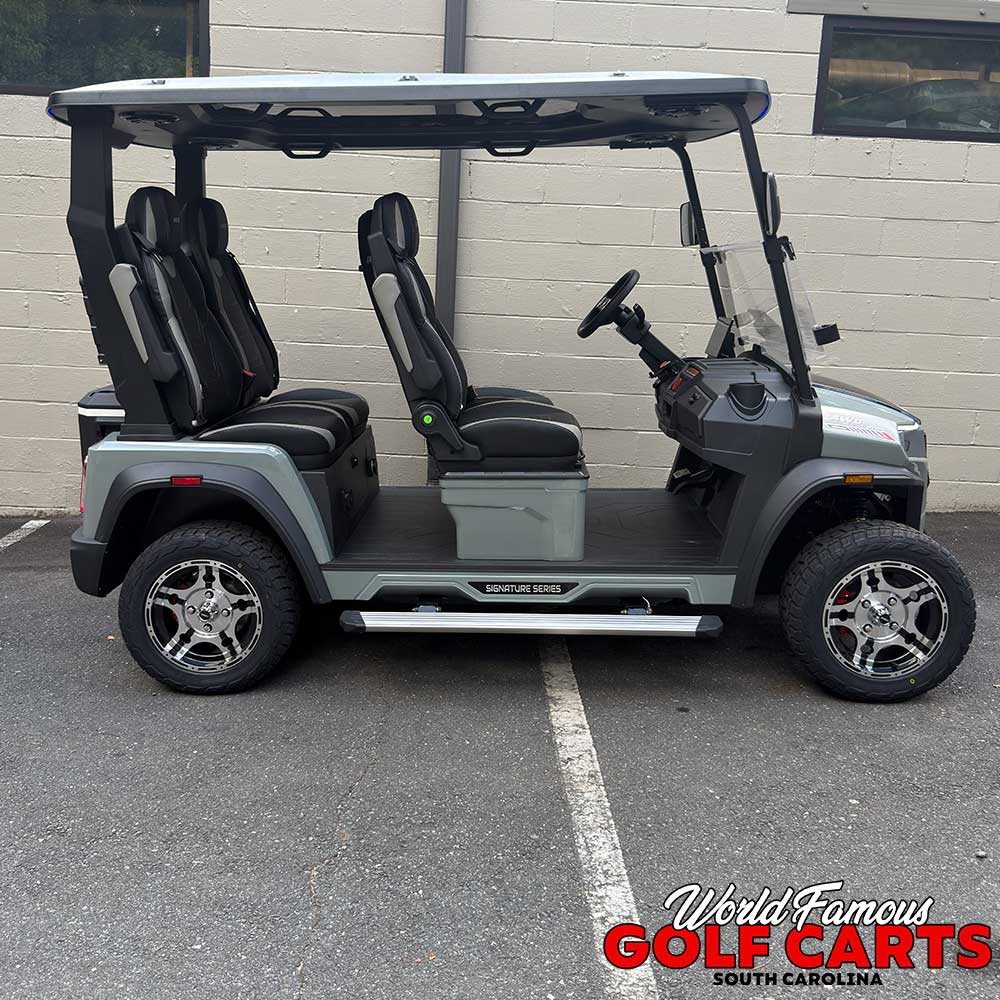 2026 Aries S4F AWD Grey - Image 6