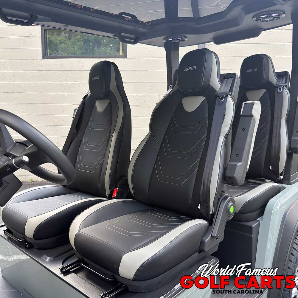 2026 Aries S4F AWD Grey - Image 7