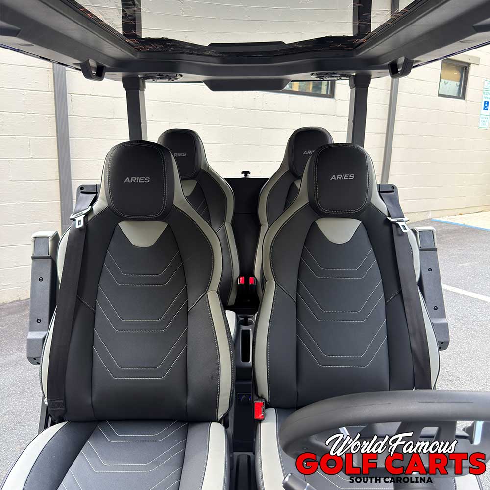 2026 Aries S4F AWD Grey - Image 8