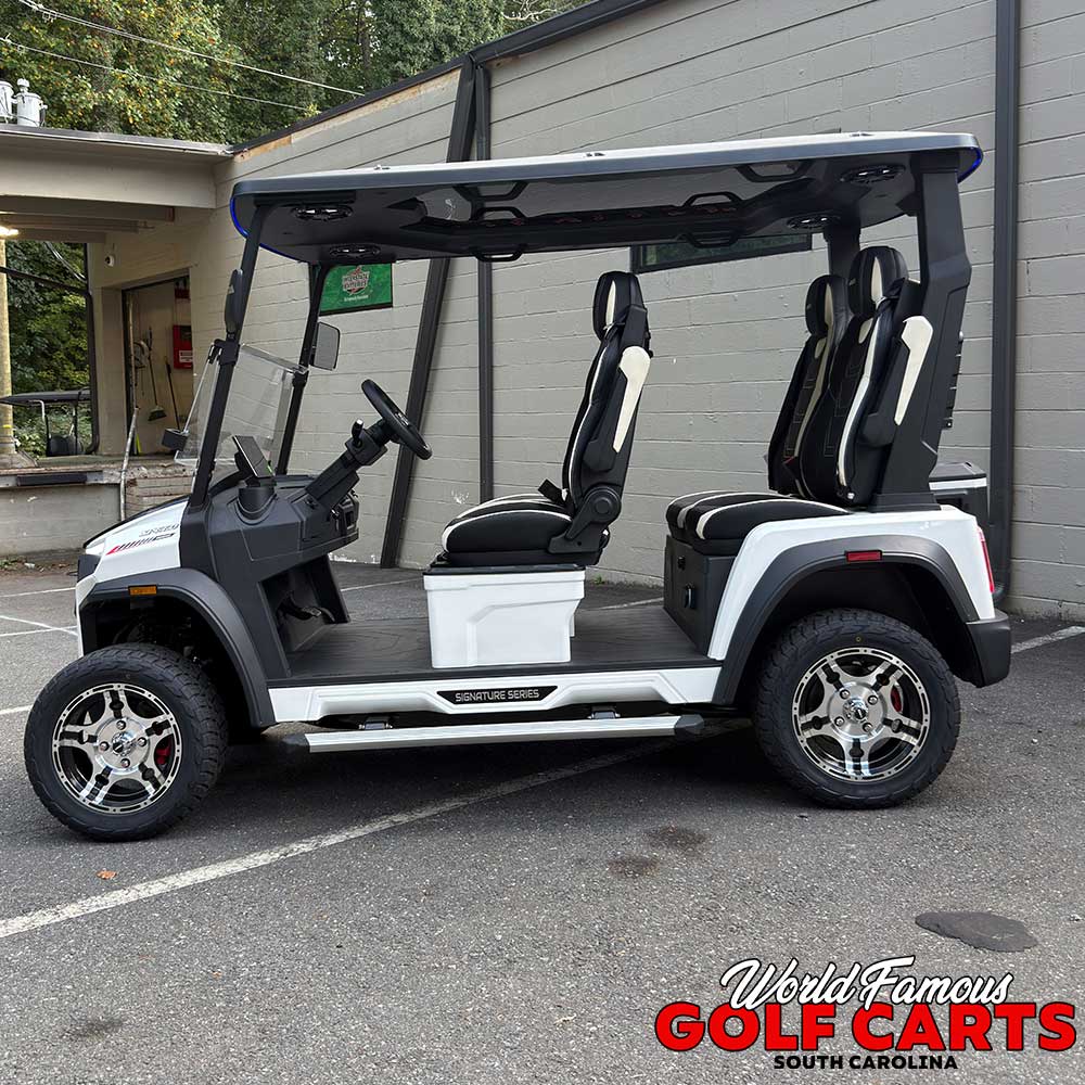2026 Aries S4F 2wd White - Image 5
