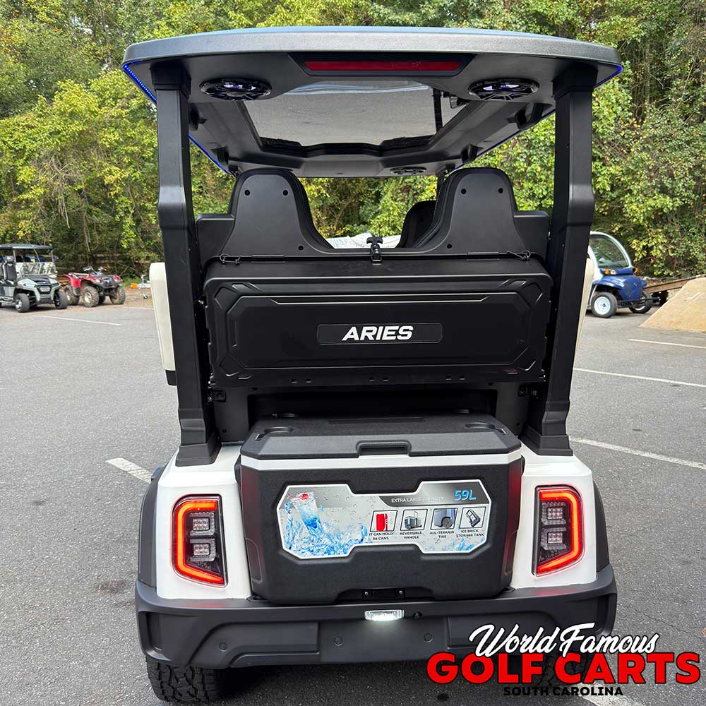 2026 Aries S4F 2wd White - Image 12